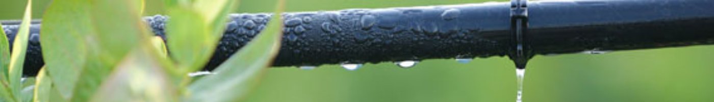 Micro Sprinklers (5-15 Feet Radius)