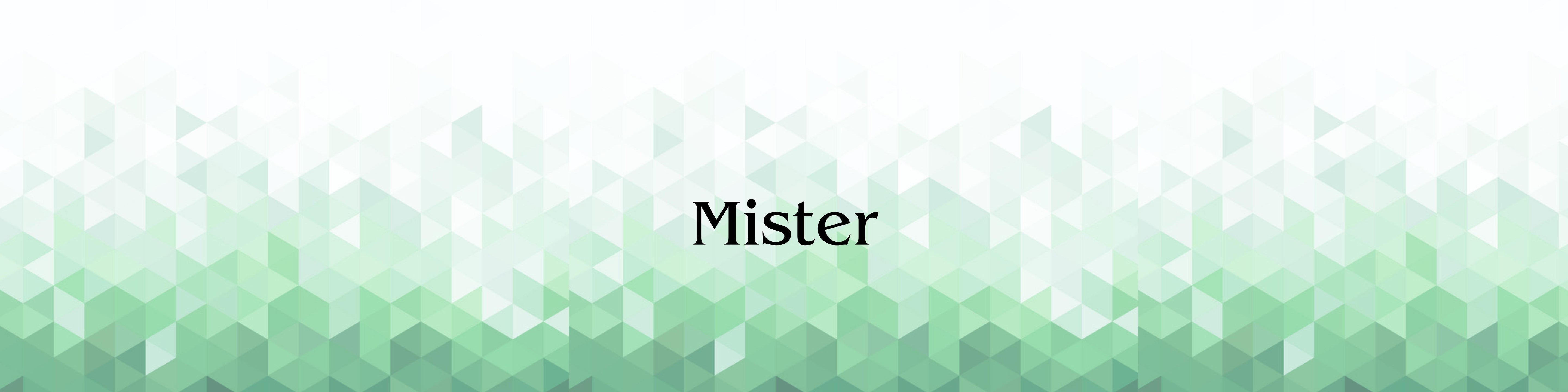 MISTER