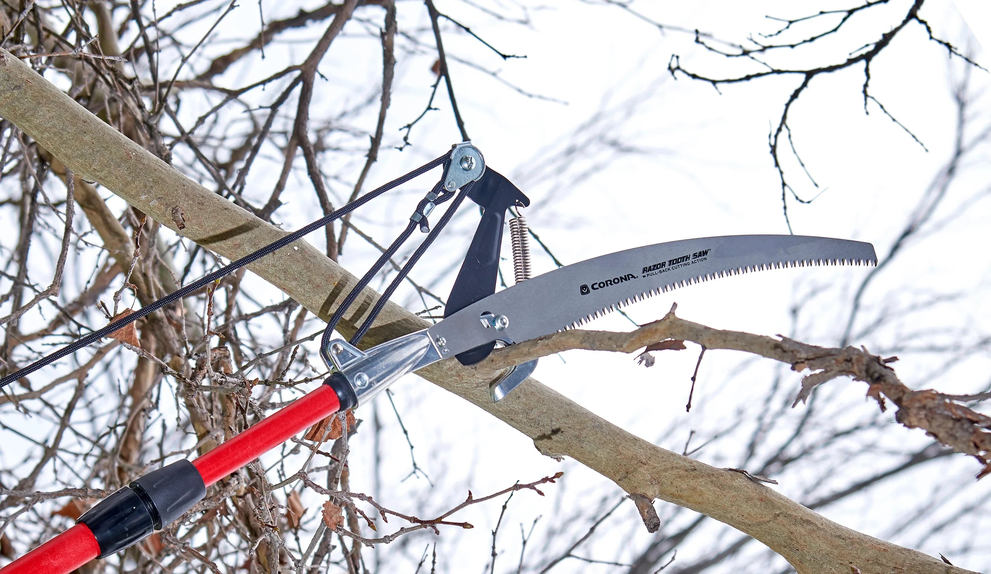 POLE SAW - TREE PRUNER