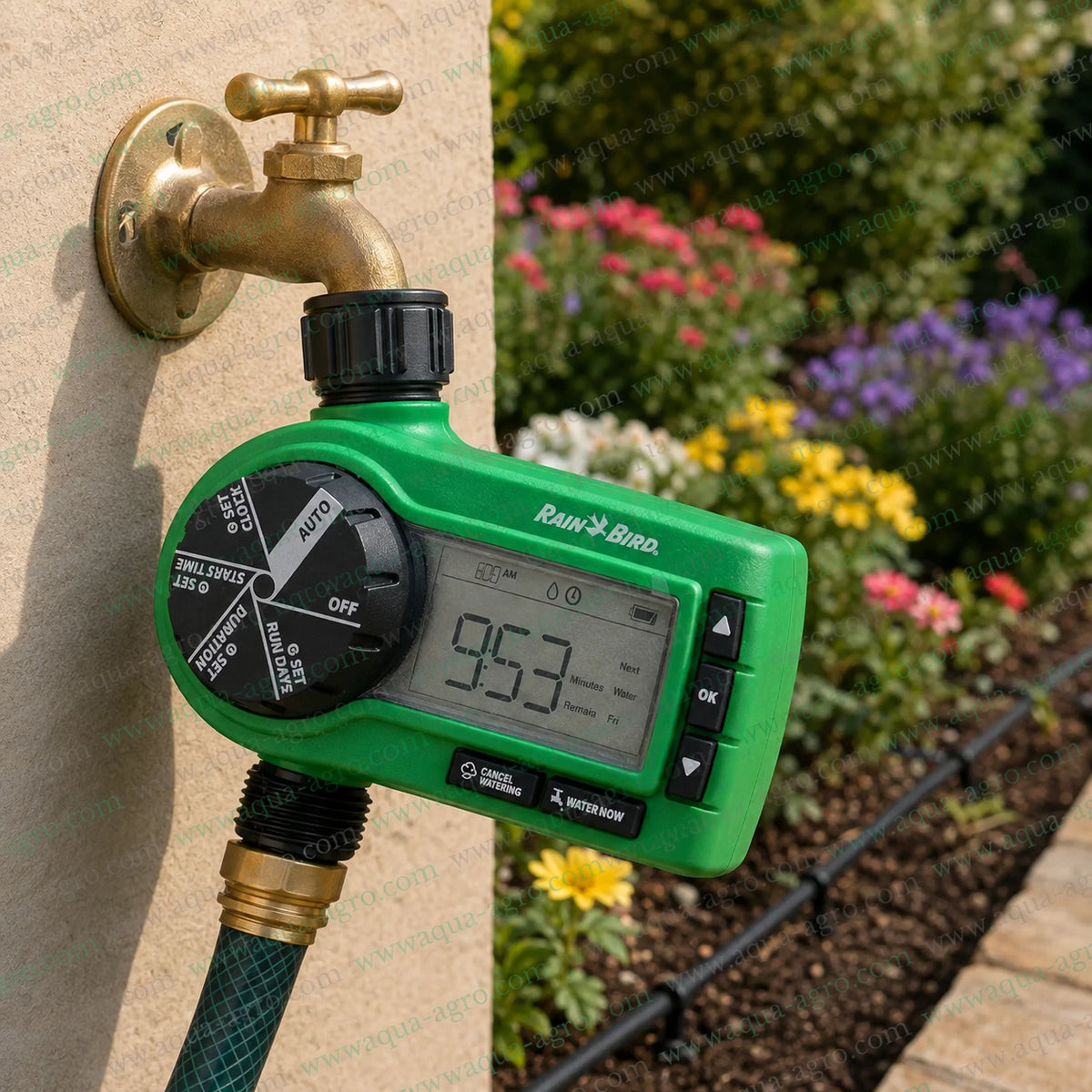 Rain Bird 1ZEHTMR digital tap timer installed on outdoor garden faucet for automatic drip irrigation and garden watering control