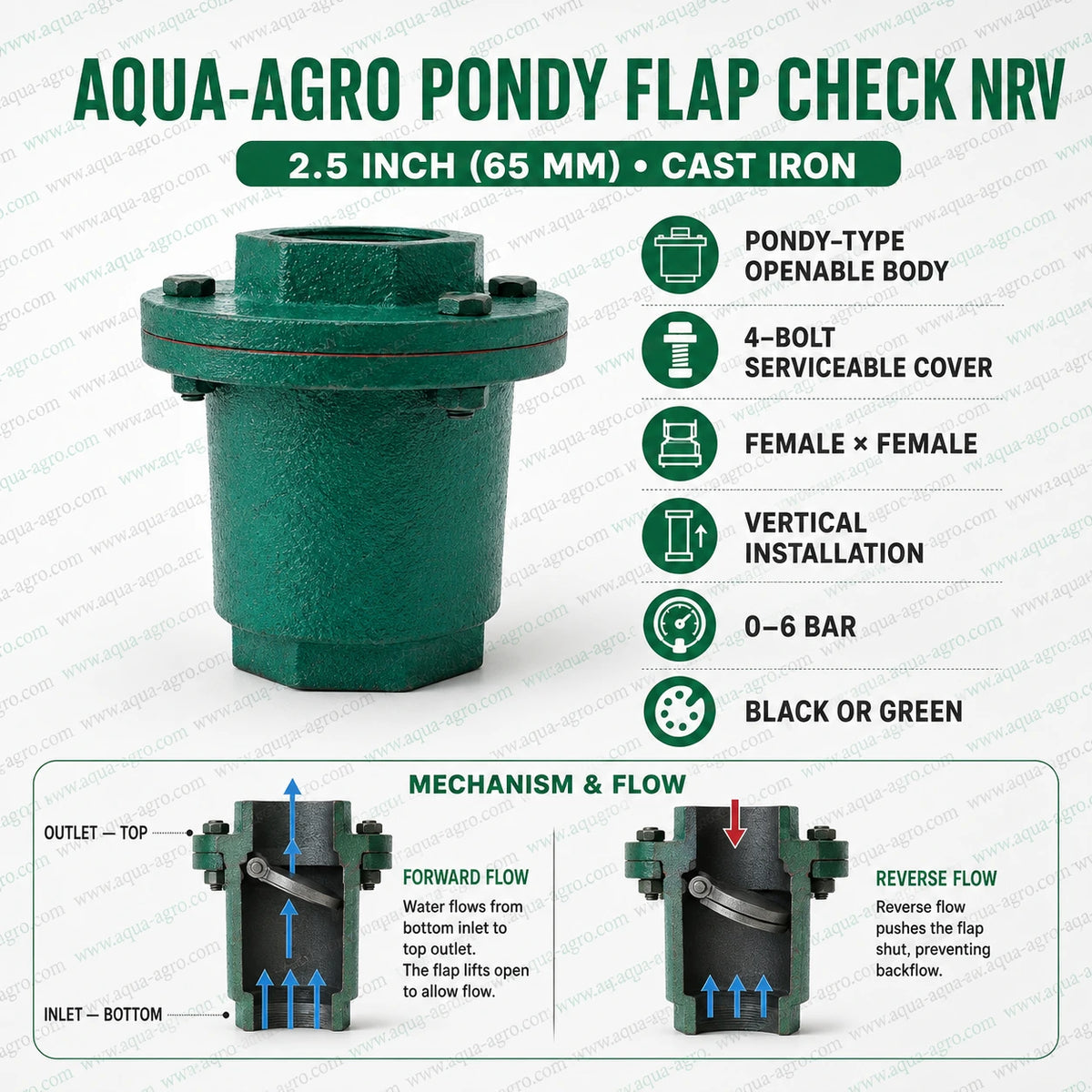 AQUA AGRO Pondy flap check NRV 2.5 inch 65mm cast iron non return valve with female threaded ends four bolt serviceable cover vertical installation and automatic backflow prevention for irrigation pumps and pipelines