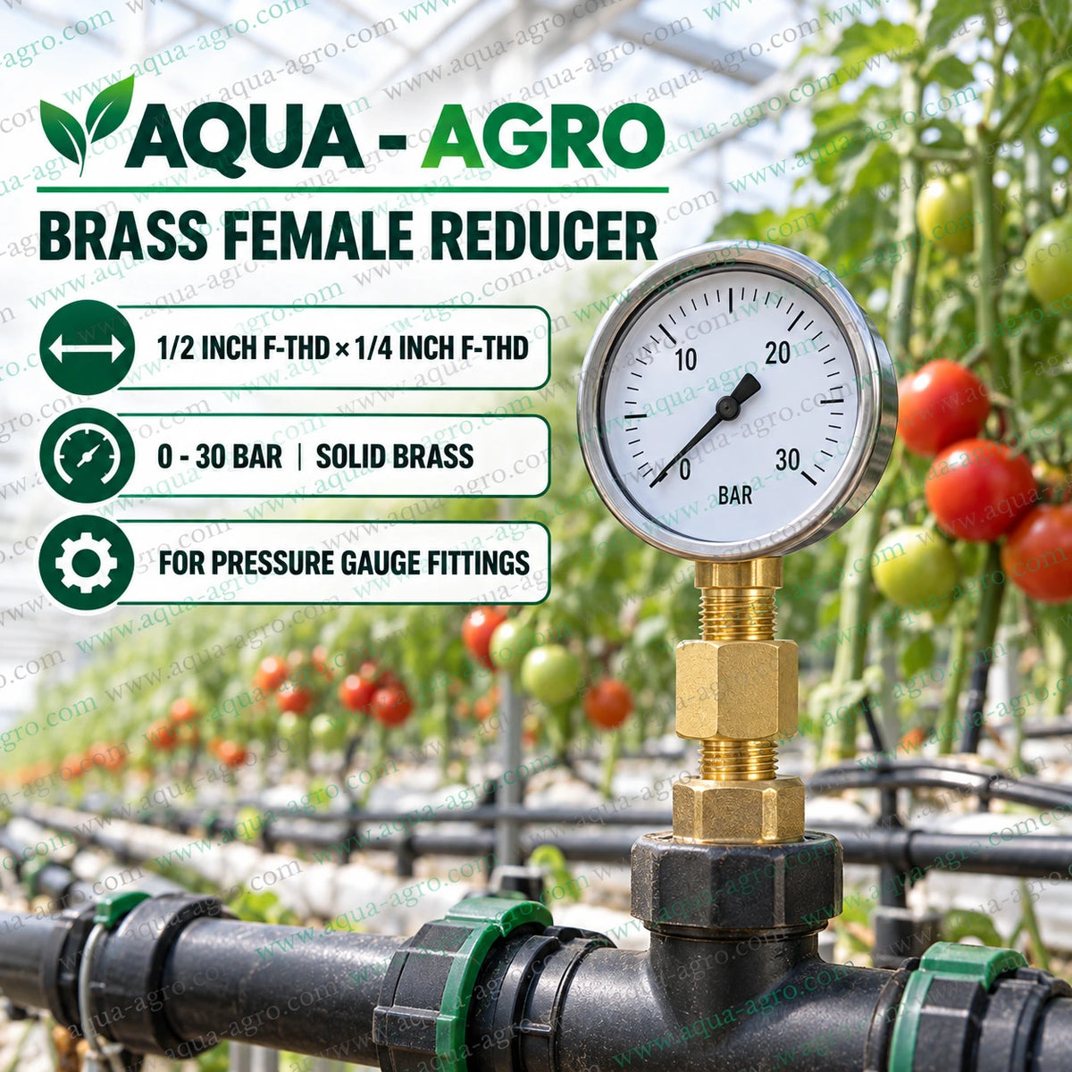 AQUA-AGRO Brass Female Threaded Pressure Gauge Reducer Adaptor Installed on Agricultural Irrigation Pipeline for Water Pressure Monitoring in Greenhouse Drip Irrigation Systems