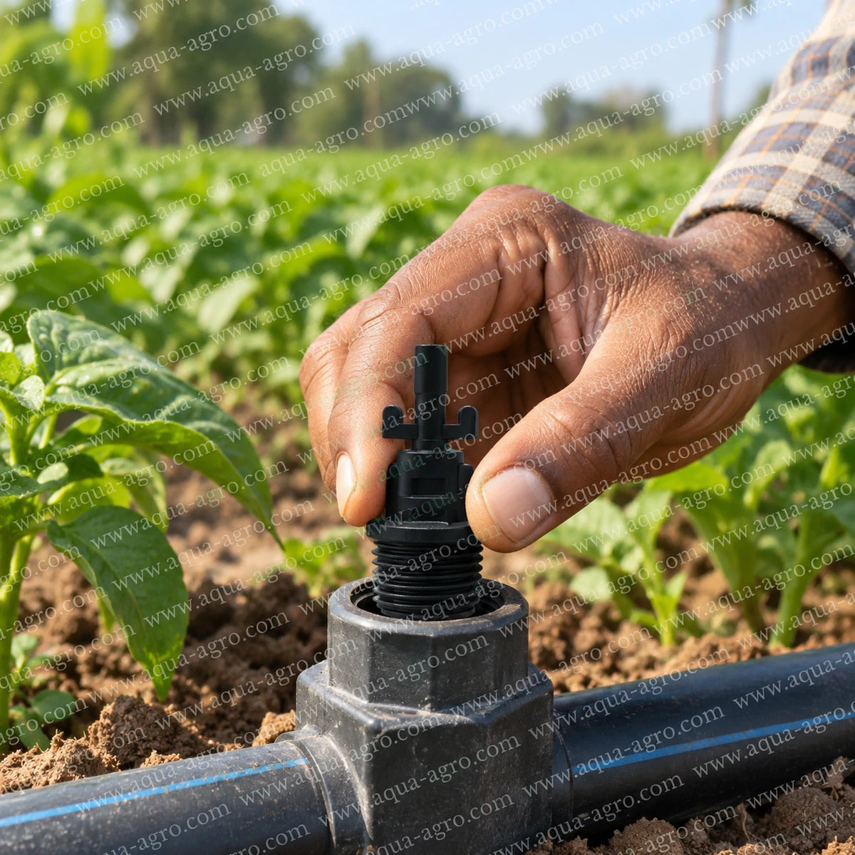 AUTOMAT 0.5 inch male threaded bayonet adaptor with 4mm push fit pin installed on farm irrigation line for fogger and misting systems