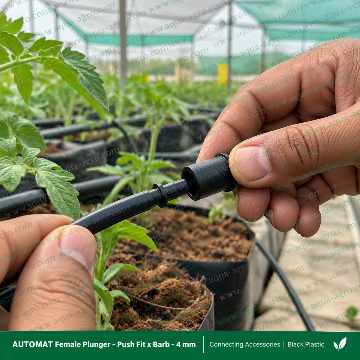 AUTOMAT Harit 4mm female plunger push fit to barbed connector being installed on a micro irrigation tube in a greenhouse for connecting fogger accessories and misting systems