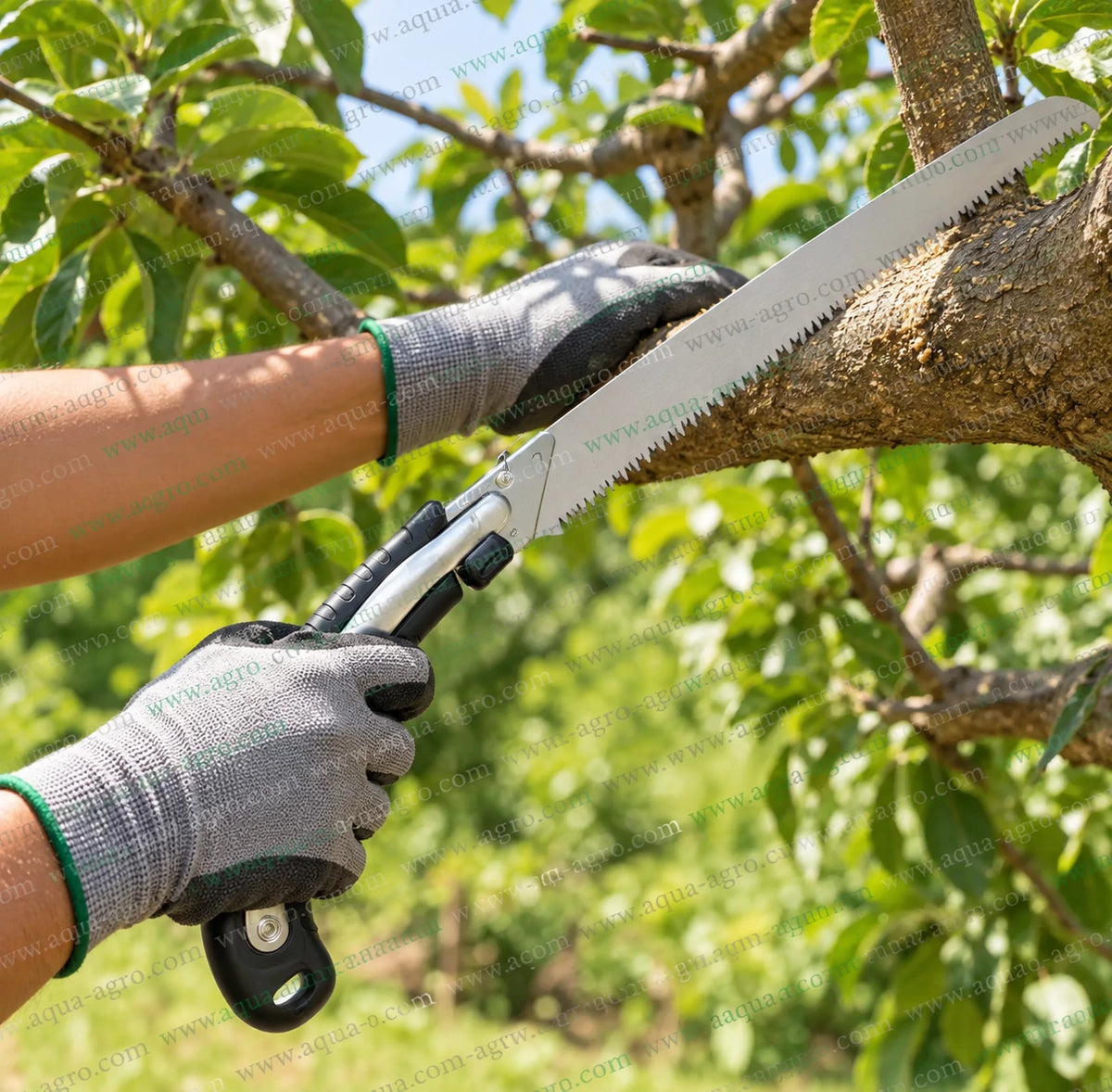 DAP F-350-BG CHANLONG straight hand saw with detachable 3D razor sharp blade pruning thick tree branch for gardening orchard landscaping and agricultural branch cutting