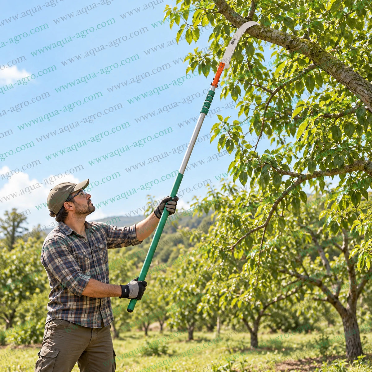 DAP PG-307 premium tree pruner with extendable oval aluminium pole and curved SK5 steel saw for high reach tree branch cutting orchard and garden pruning