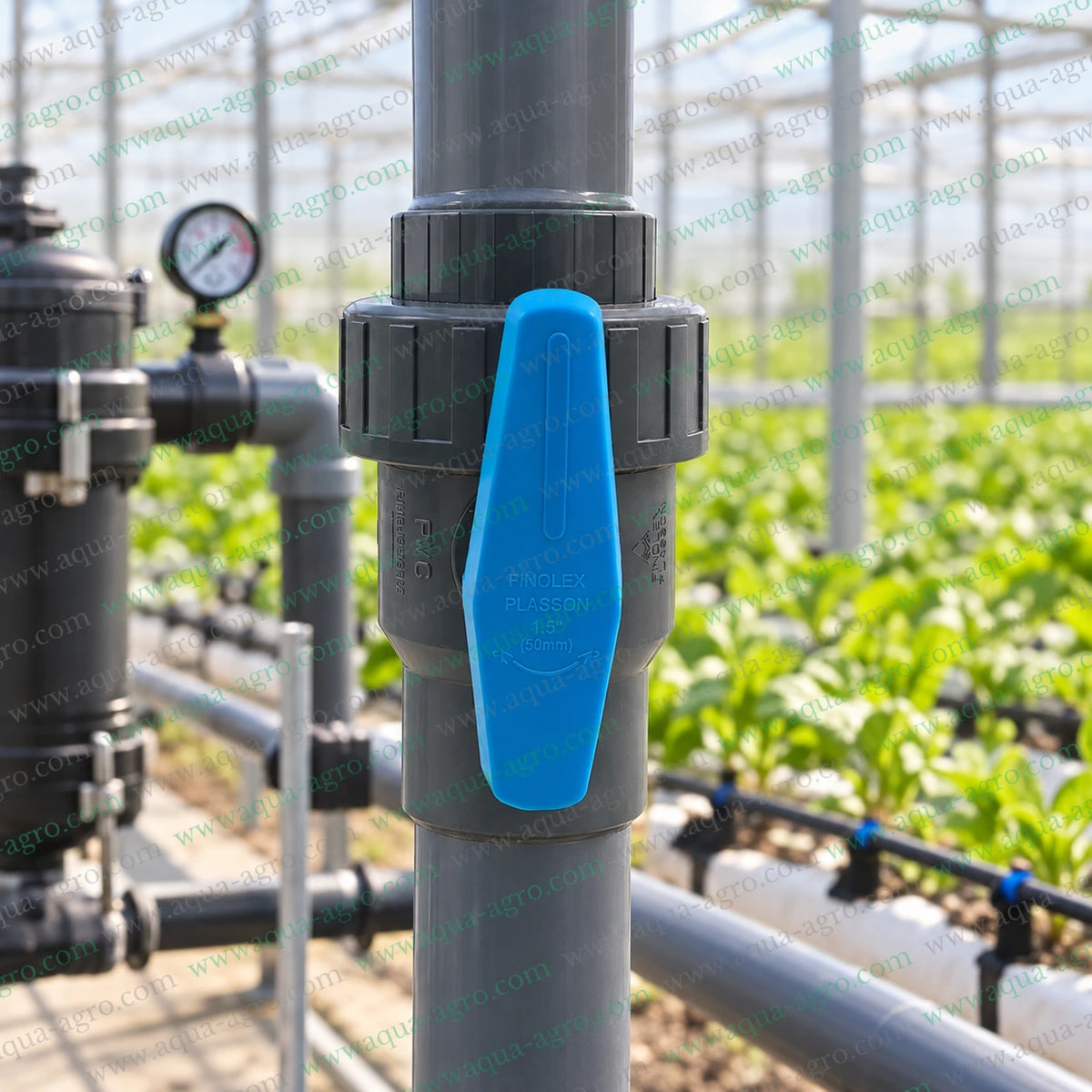 FINOLEX PLASSON 1.5 inch (50mm) grey PVC single union ball valve with blue handle installed vertically on a PVC irrigation pipeline in a greenhouse, suitable for agricultural irrigation, water management and flow control systems