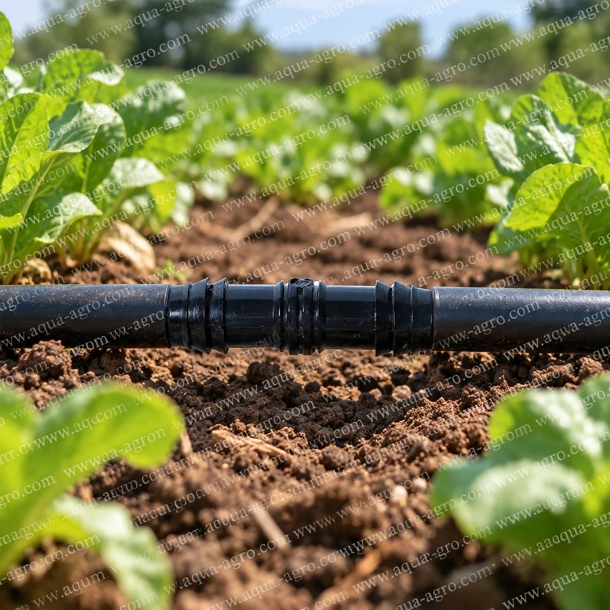 FINOLEX PLASSON 20mm black Delrin drip irrigation coupler installed between two lateral pipes in an agricultural field for secure inline pipe connection