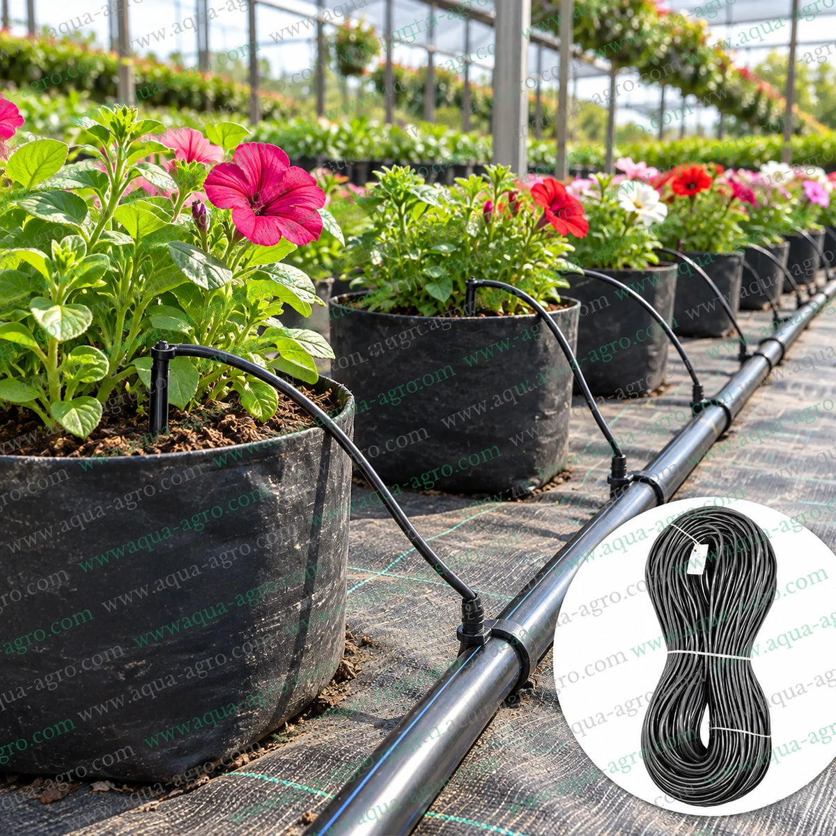 FINOLEX PLASSON premium 4x6mm soft PVC micro tube 100 metre roll connected to drip irrigation system for watering flowering plants in nursery pots and greenhouse gardens