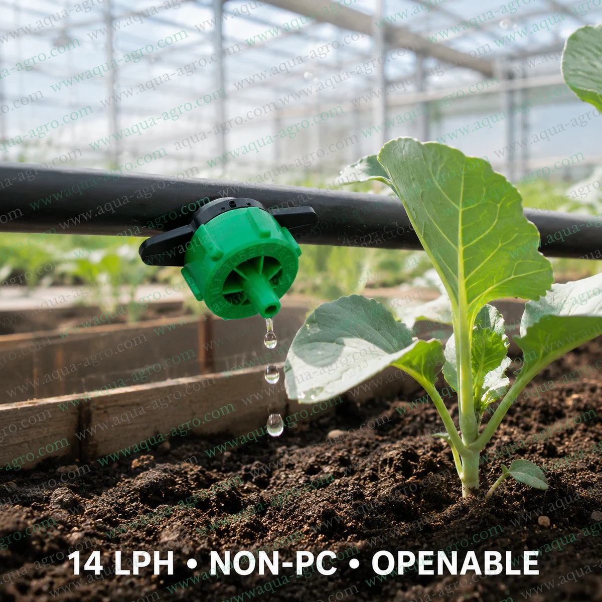JAIN Turbo Key Plus 14 LPH green drip emitter installed directly on drip irrigation tube watering plants in greenhouse