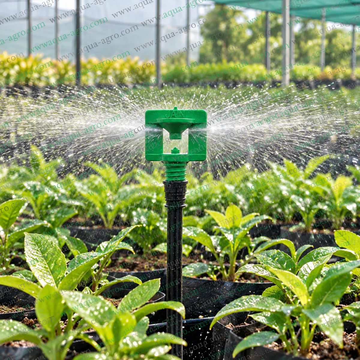 JAIN J-Jet Green 50 LPH Micro Sprinkler Providing Uniform 360 Degree Full Circle Water Spray for Greenhouse Nurseries Vegetable Seedlings and Garden Irrigation
