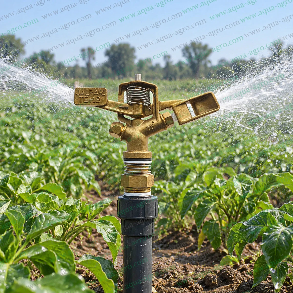 JALPARI TE-1B brass twin nozzle full circle mini sprinkler operating in agricultural crop field with 360 degree water coverage 25 to 35 feet radius 1020 to 1250 LPH discharge 0.5 inch 20mm male threaded impact sprinkler for farm field crop and garden irrigation