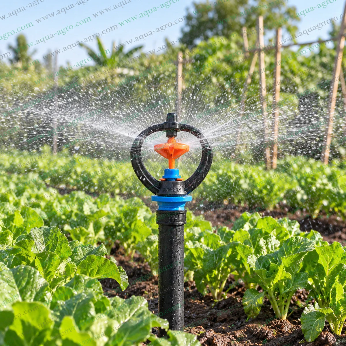 MY IRRIGACIO WORLD Superfly Butterfly orange nozzle mini sprinkler operating in agricultural crop field with full circle 360 degree uniform water distribution 15 to 20 feet radius 450 to 810 LPH swivel rotor sprinkler for farm garden horticulture and nursery irrigation