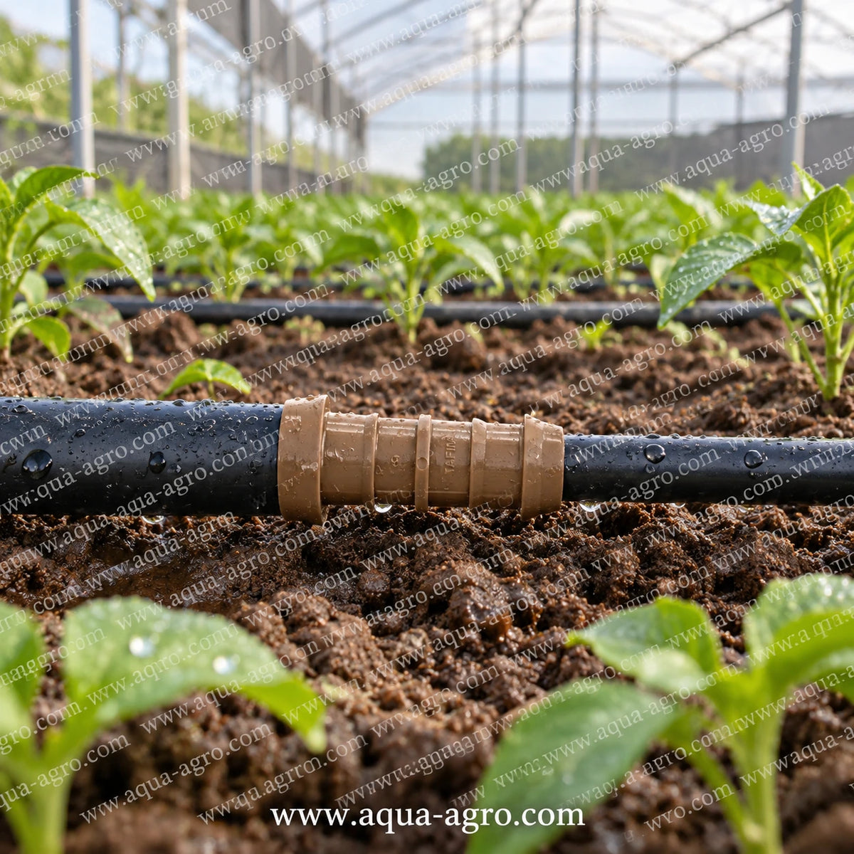 NETAFIM 16mm x 17mm brown premium reducing barbed coupler joiner installed between black drip irrigation lateral pipes in greenhouse farming for secure pipe connection