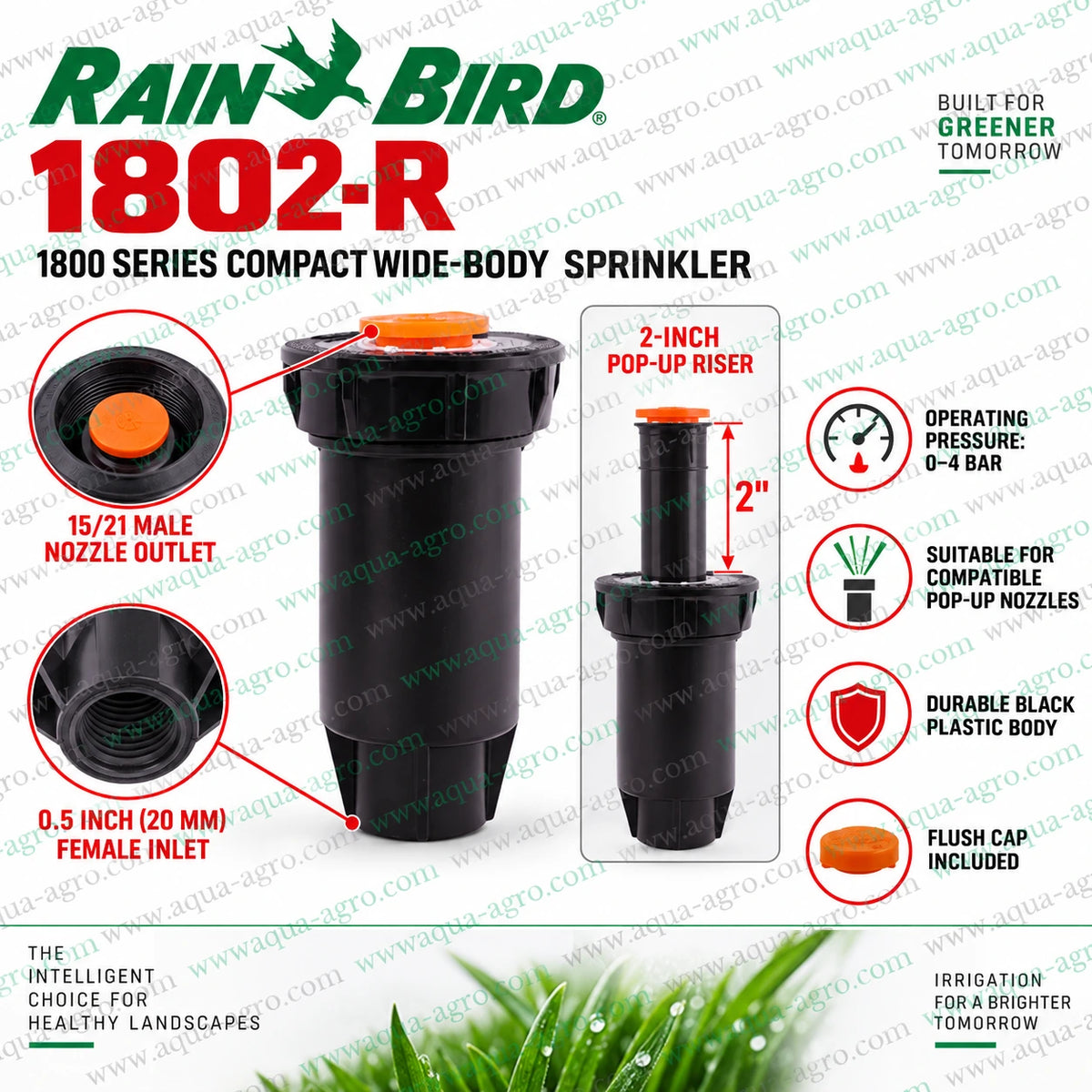 RAIN BIRD 1802-R 1800 Series 2 inch pop-up sprinkler body installation with 0.5 inch female threaded inlet for lawn garden and landscape irrigation