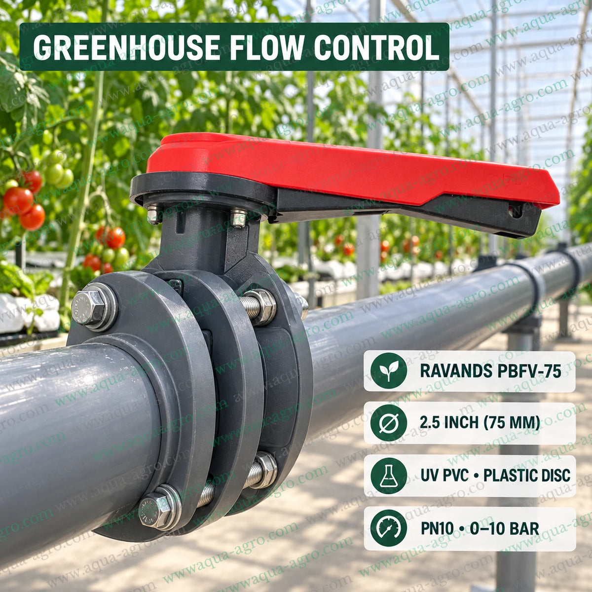 RAVANDS 2.5 inch 75mm PBFV-75 PVC butterfly valve installed in greenhouse irrigation mainline for reliable agricultural water flow control