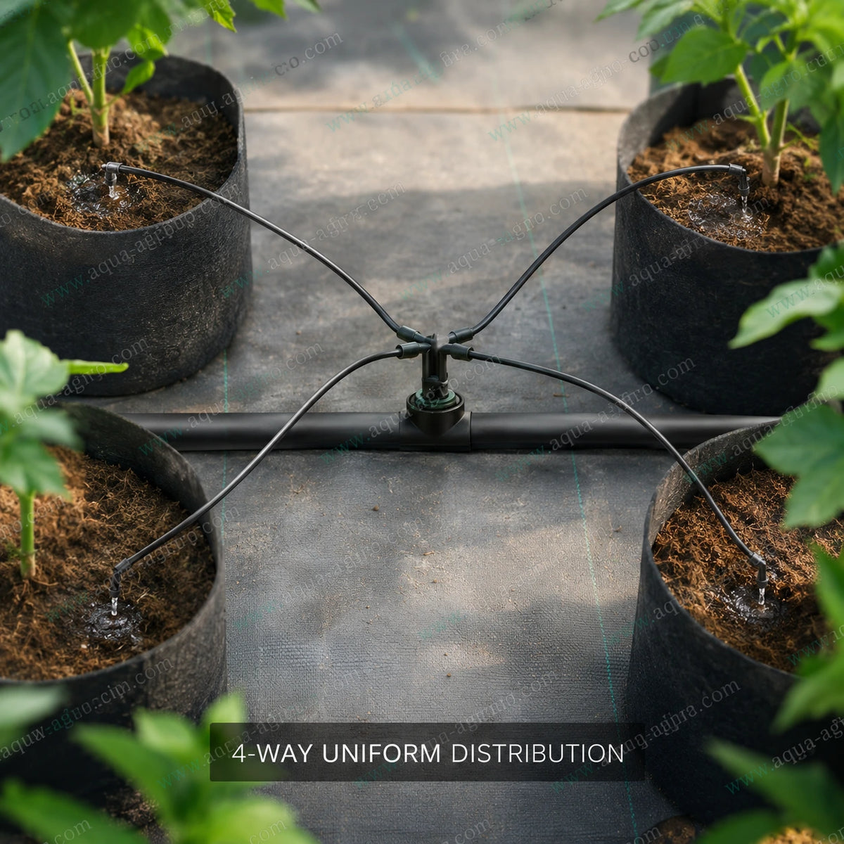 RIVULIS 4-way dripper adaptor connected to four 3mm micro tubes for uniform drip irrigation of potted plants