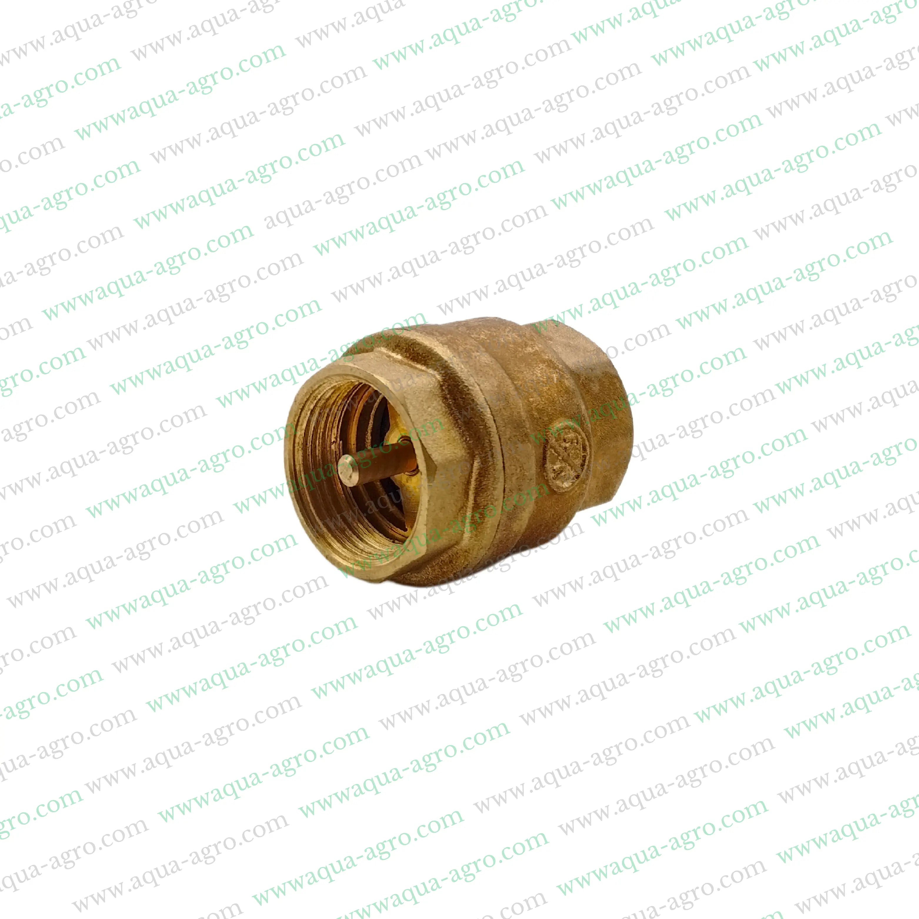Non Return Valve (NRV),0.75 inch NRV,20mm Spring Check Valve,Brass Spring ValveThreaded End Valve