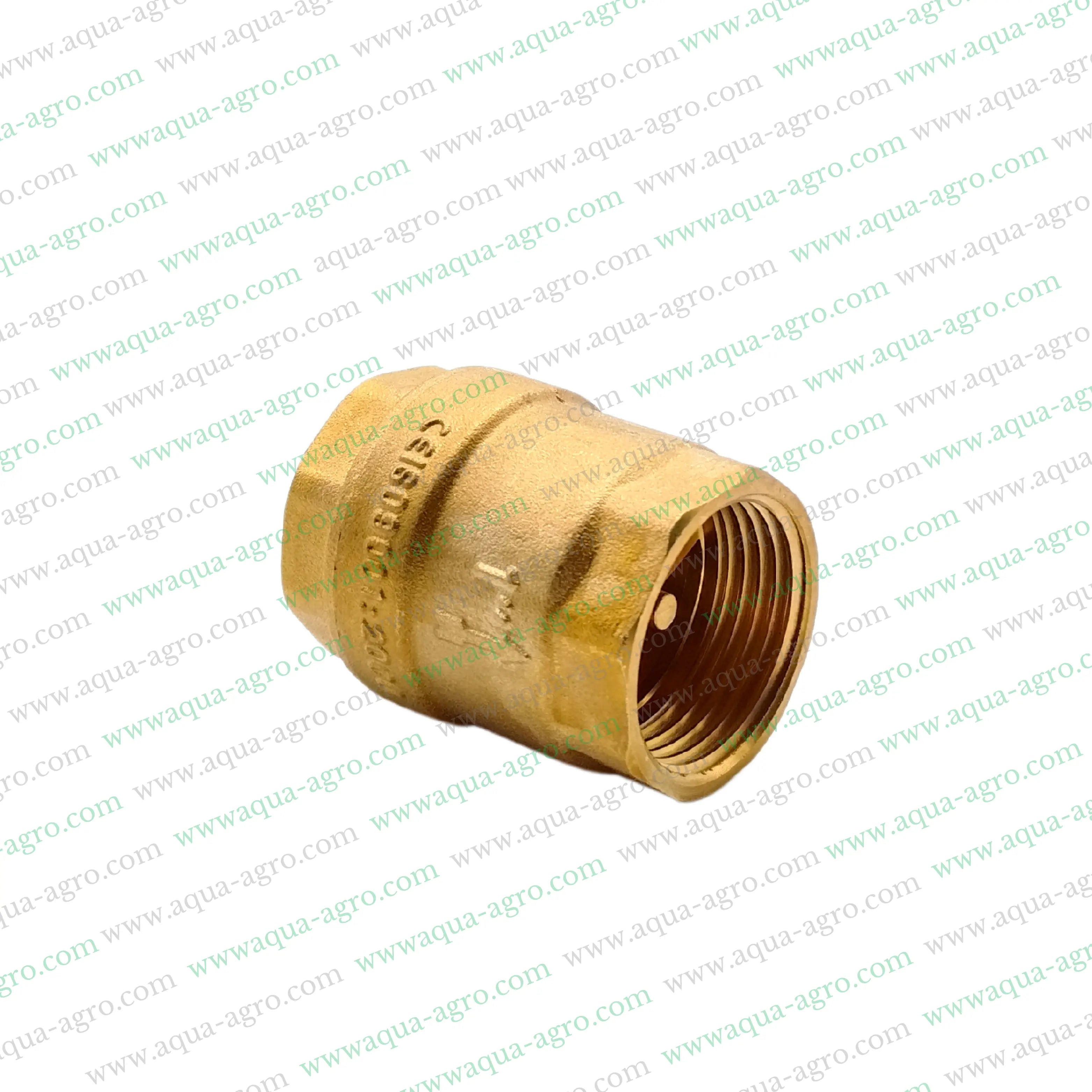 Non Return Valve (NRV),1 Inch NRV,Spring Check Valve,Threaded Check Valve,25mm Non Return Valve