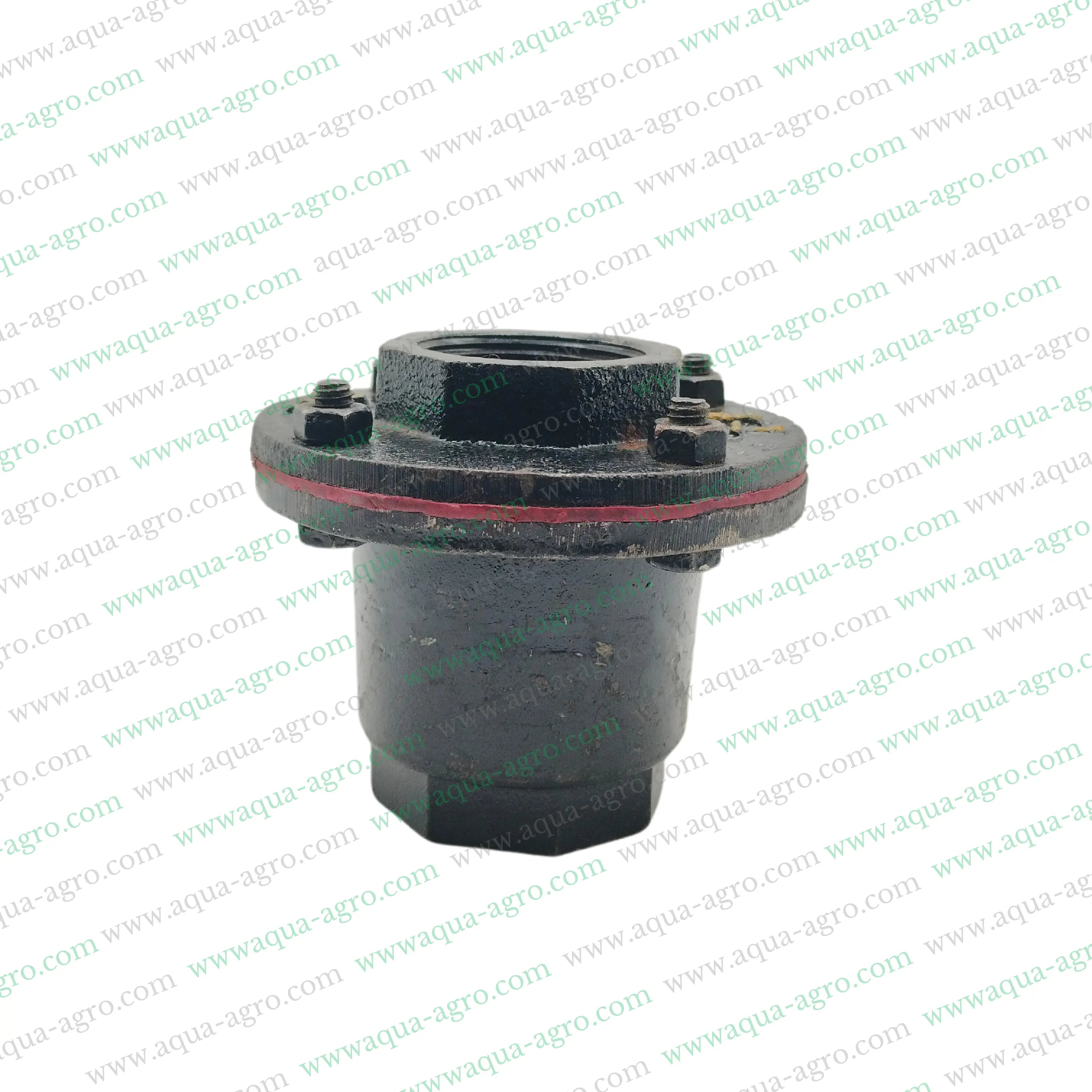 1.5-Inch Cast Iron Non-Return Valve with Flap Check,40mm Pondy Flap Check Valve with Threaded Ends,Metal NRV Valve 1.5-Inch for Pond Applications