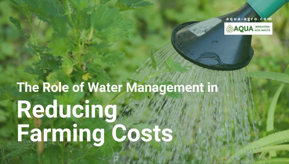 The Role of Water Management in Reducing Farming Costs | Aqua Agro