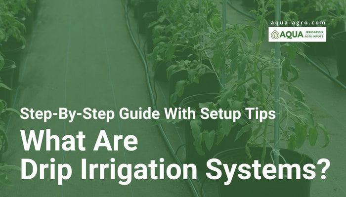 What Are Drip Irrigation Systems? (Step-By-Step Guide With Setup Tips)