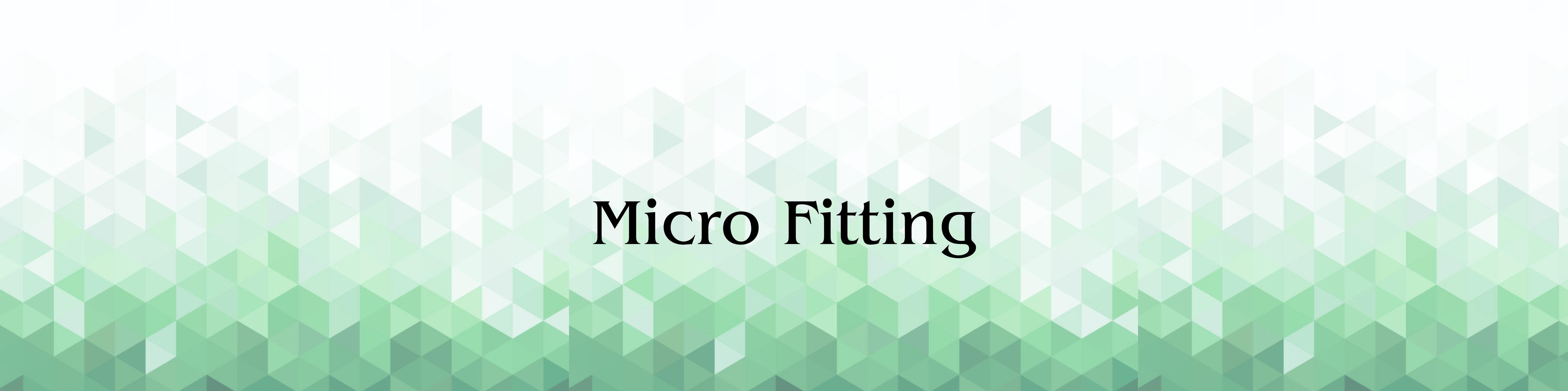 MICRO-FITTING