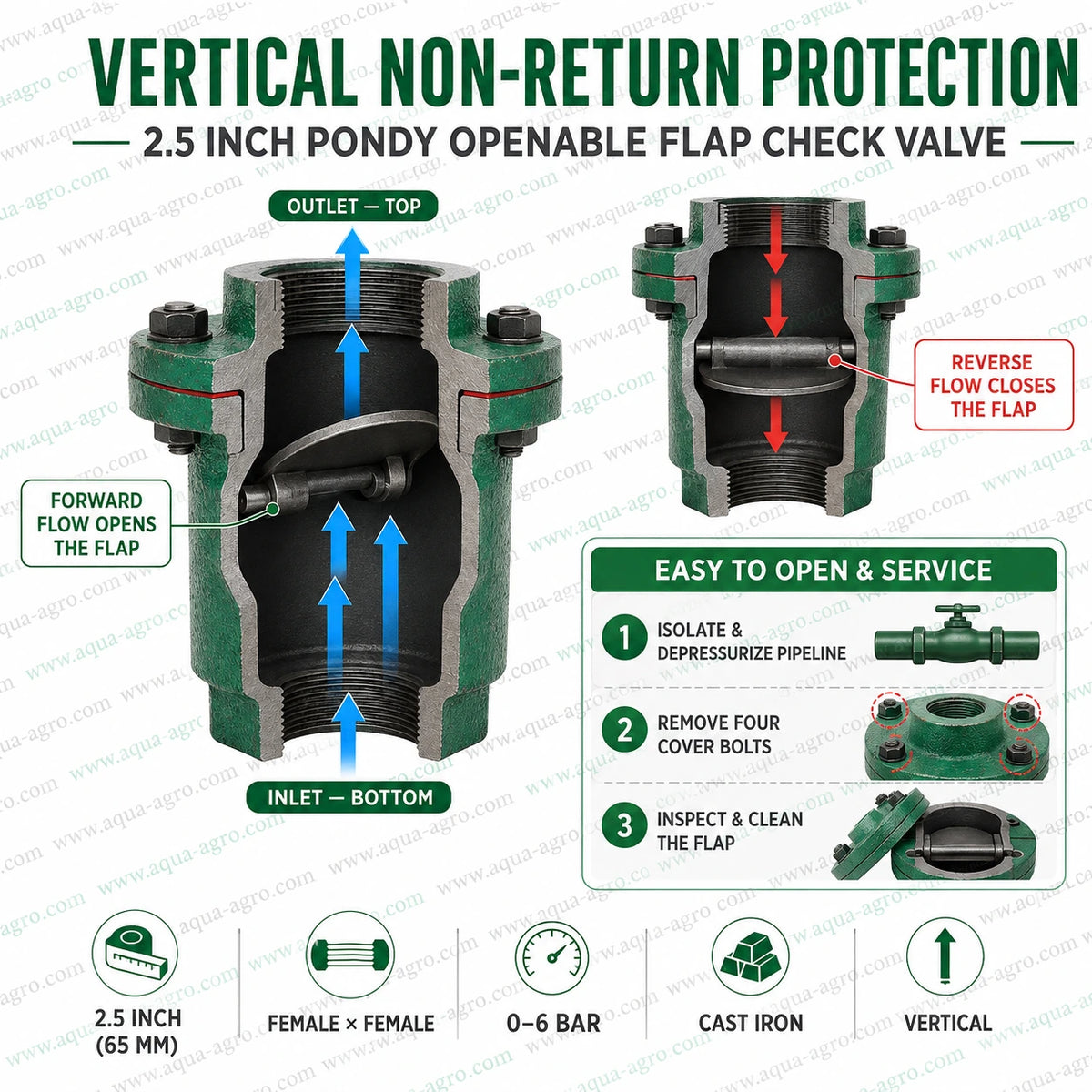 AQUA AGRO 2.5 inch 65mm Pondy openable flap check non return valve NRV cast iron female threaded valve with vertical bottom to top flow 0 to 6 bar backflow protection and serviceable cover