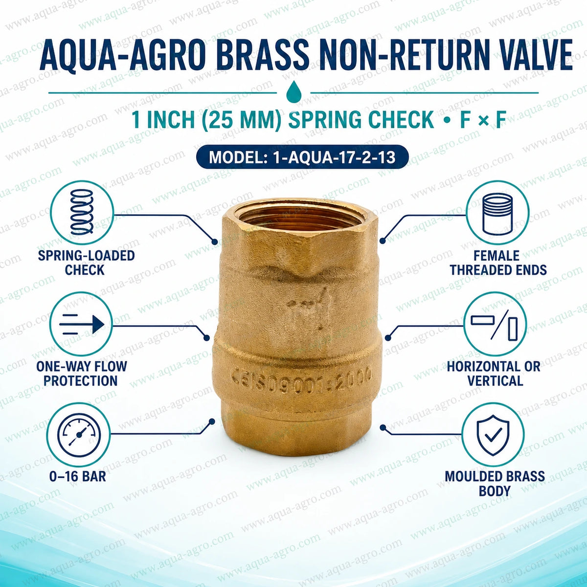 AQUA AGRO brass non return valve 1 inch 25mm spring check NRV with female threaded ends one way flow protection 0 to 16 bar for irrigation water pipelines