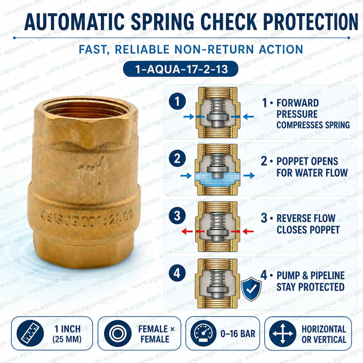 AQUA AGRO 1 inch 25mm brass spring check non return valve showing automatic spring loaded poppet mechanism for preventing reverse water flow in pump and irrigation pipelines