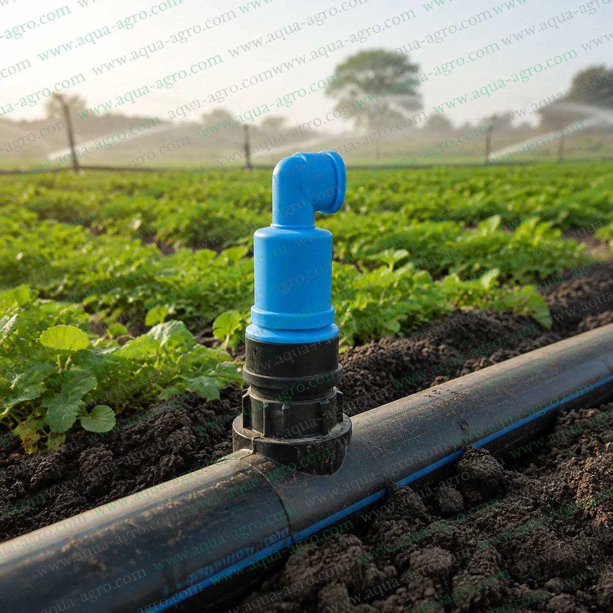 Finolex Plasson 1 Inch 32mm Air-Cum-Vacuum Relief Valve Installed On Agricultural Irrigation Pipeline