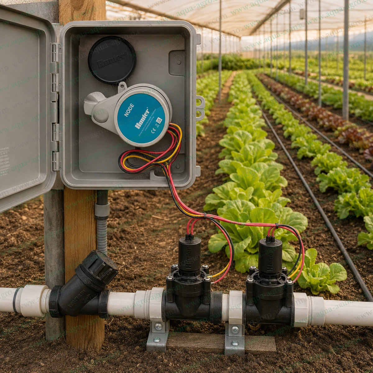 Hunter NODE-200 dual station battery operated irrigation controller installed with two solenoid valves for automatic greenhouse drip irrigation