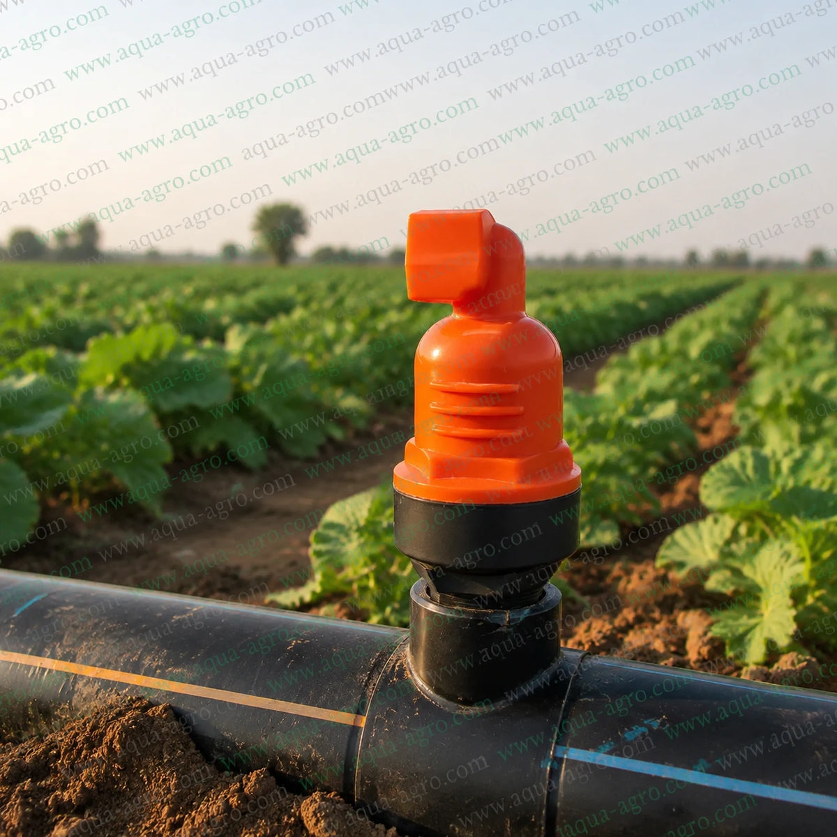 JABEE JB-AV-01 3/4 Inch Air-Cum-Vacuum Relief Valve Installed On Agricultural Irrigation Mainline Pipe