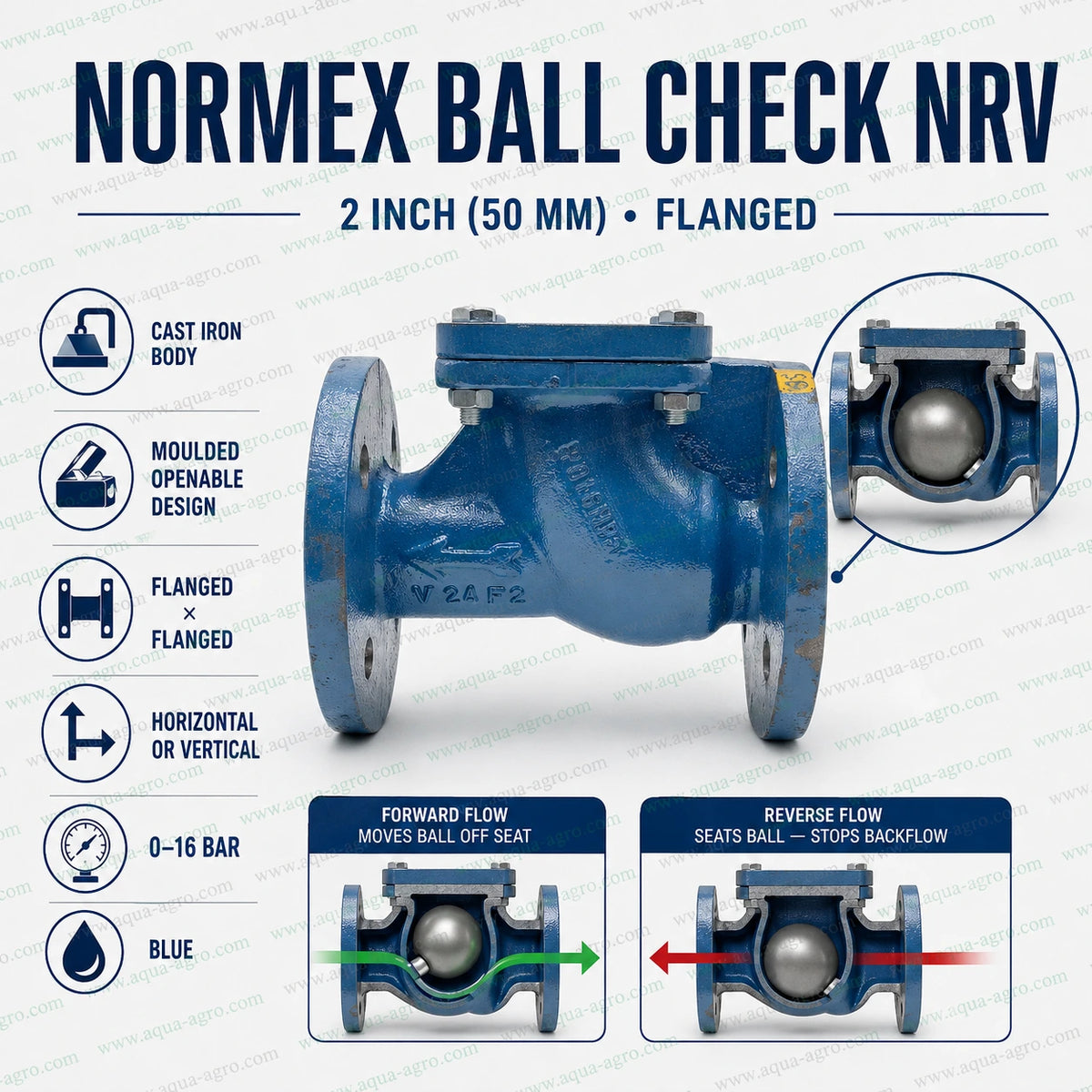 NORMEX 2 inch 50mm cast iron ball check non return valve with flanged connections openable body 0 to 16 bar pressure rating for water and irrigation pipelines