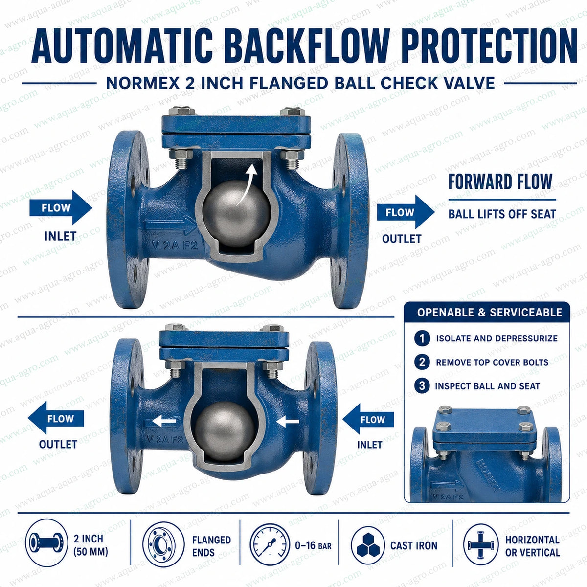NORMEX cast iron ball check NRV 2 inch 50mm flanged non return valve showing automatic backflow prevention ball mechanism and serviceable cover for irrigation pump pipelines