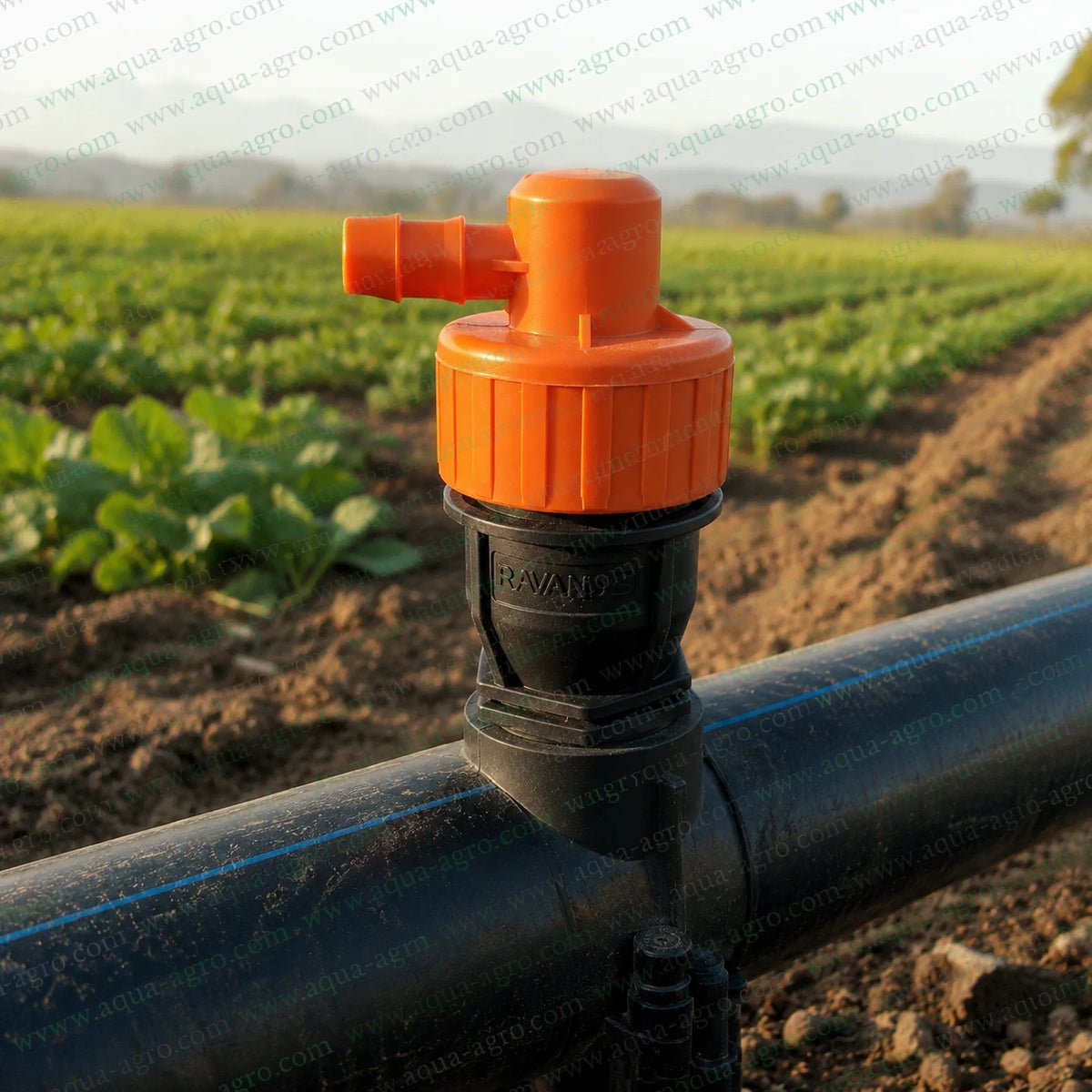 RAVANDS 32mm Kinetic Air Release Valve Installed On HDPE Irrigation Mainline For Releasing Trapped Air And Vacuum Protection
