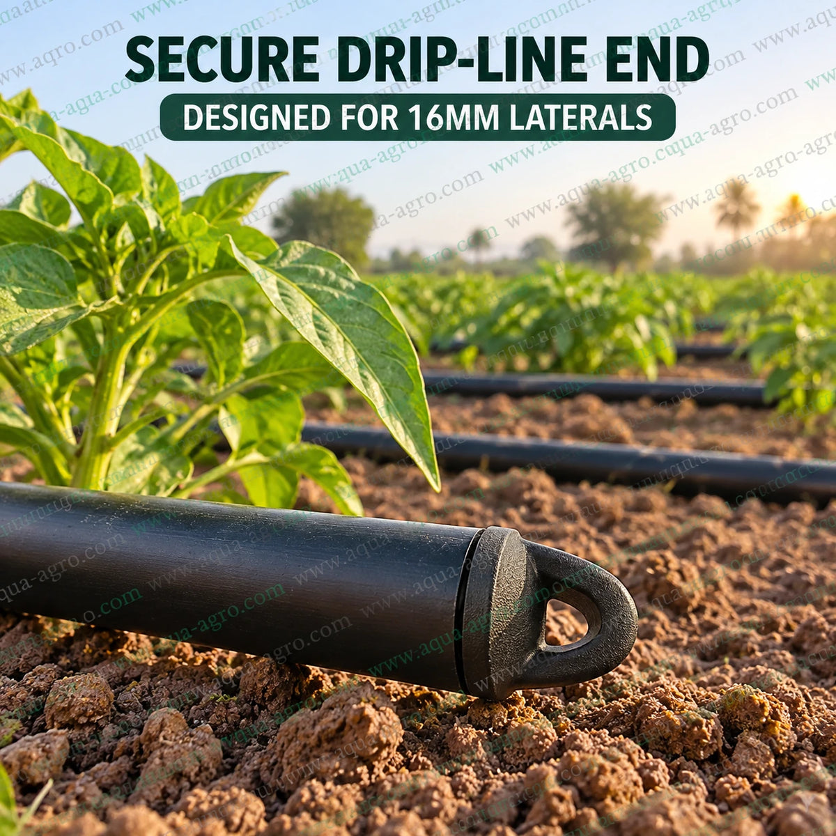 AQUA-AGRO Lite 16mm barbed end clamp installed on a black drip irrigation lateral pipe in an agricultural field providing secure pipe end closure for farm irrigation systems