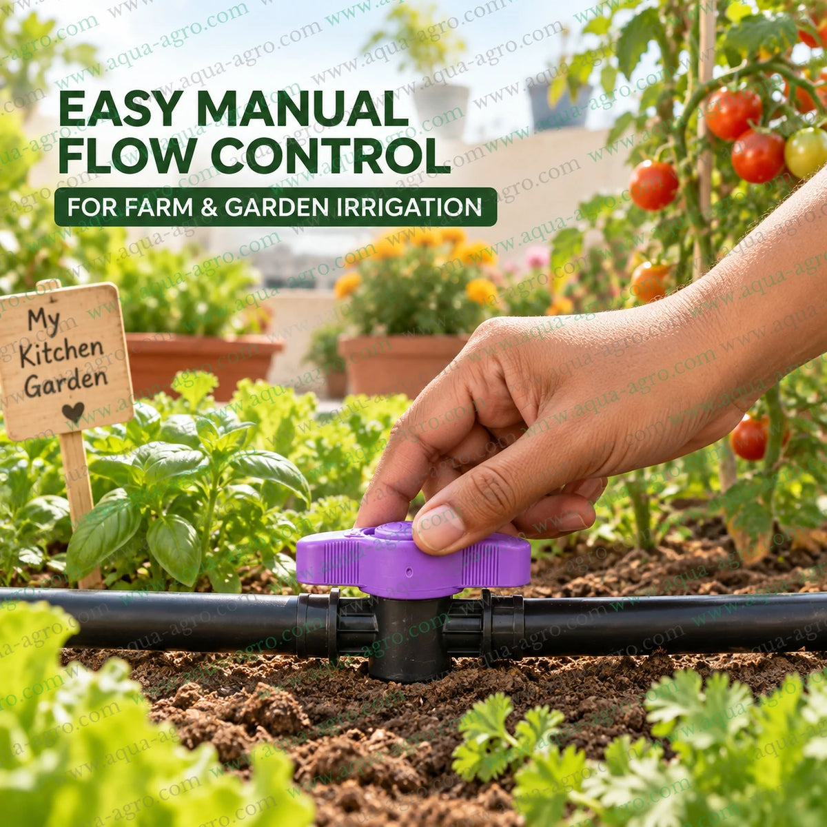 AQUA-AGRO Premium 16mm drip tap with purple handle installed in drip irrigation lateral pipe for manual water flow control in farms and kitchen gardens