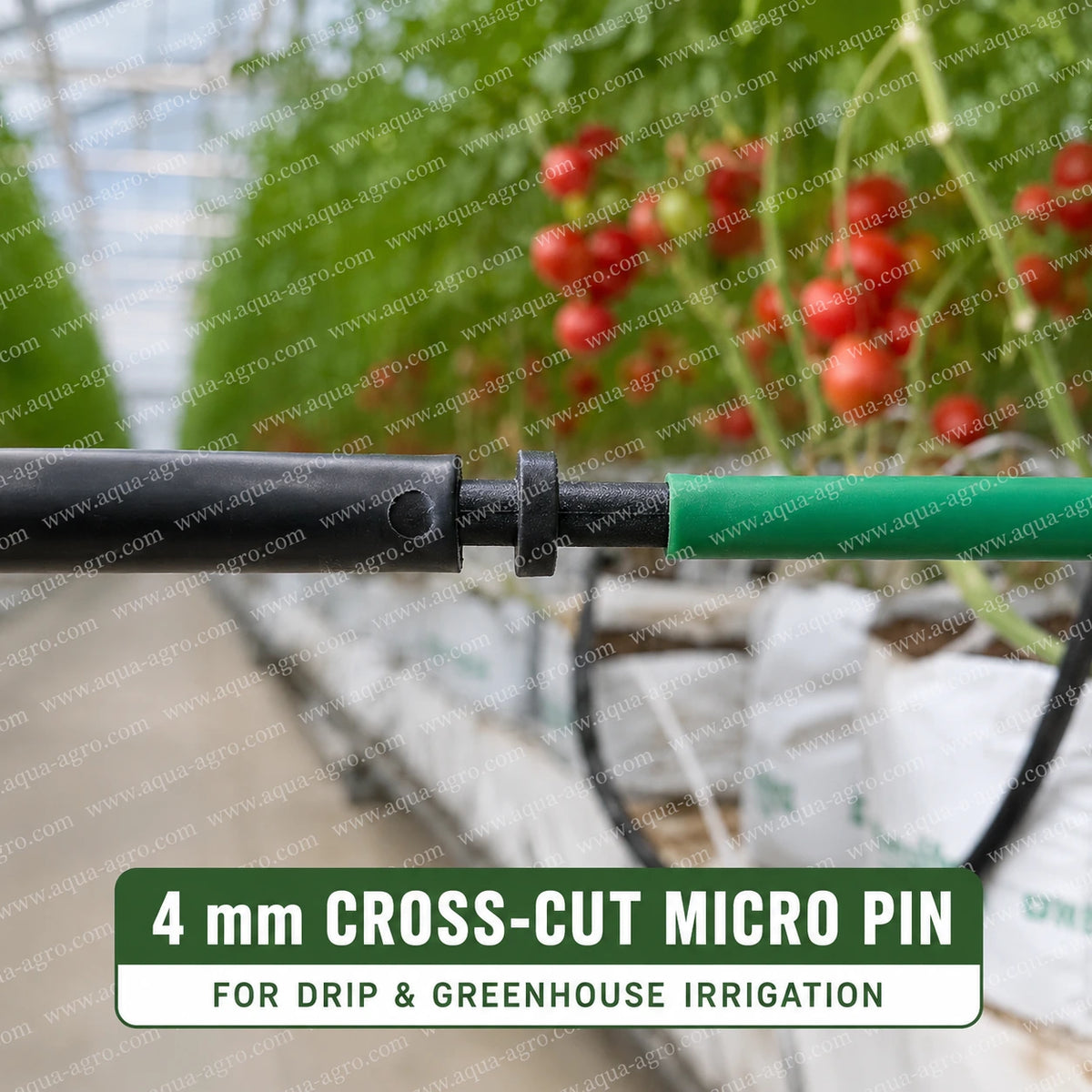 AQUA-AGRO 4 mm black PP cross cut pin connected to drip lateral and green 4 mm micro tube in greenhouse drip irrigation system