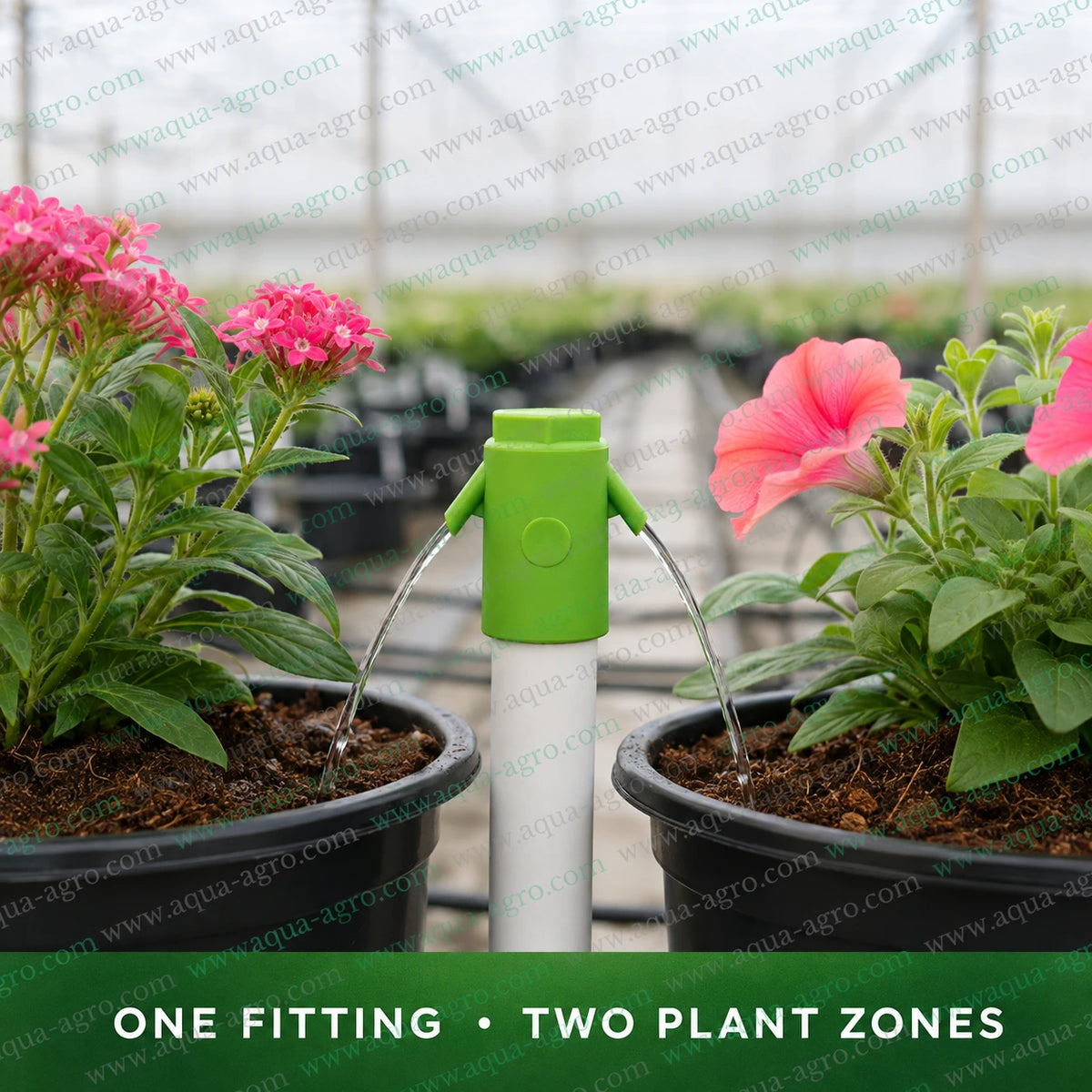 AQUA-AGRO Twin Spitter 0.5 inch 20mm irrigation fitting watering two potted flowering plants in nursery