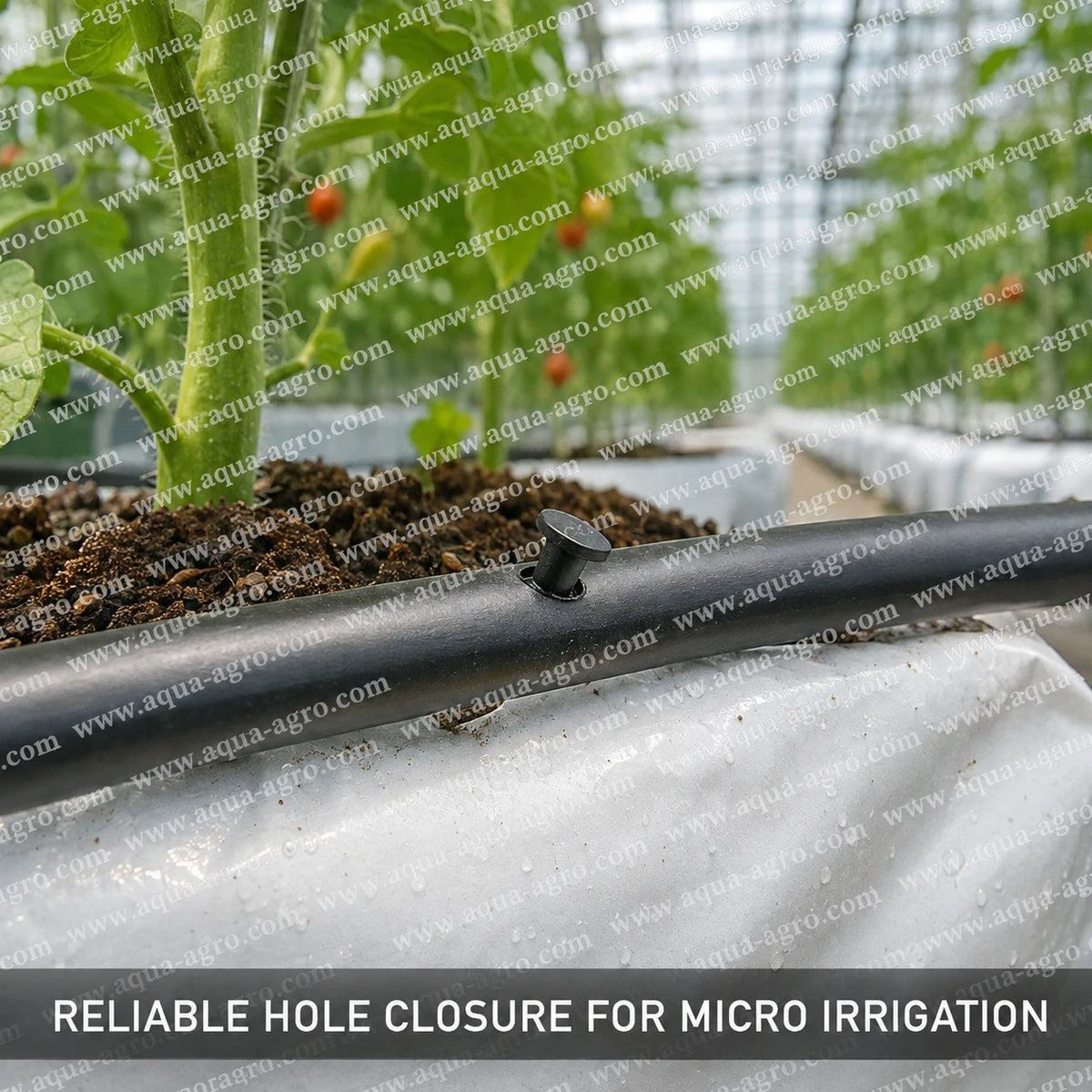 AQUA-AGRO 2.5mm goof plug installed in drip irrigation pipe, black hole closer for sealing unused punched holes in micro irrigation systems