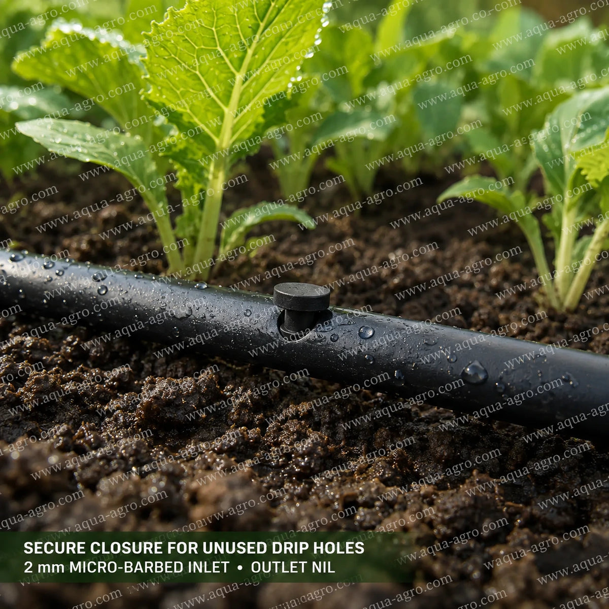 AQUA-AGRO Premium 2mm black goof plug fitted on drip irrigation tube secure hole closer for micro irrigation systems