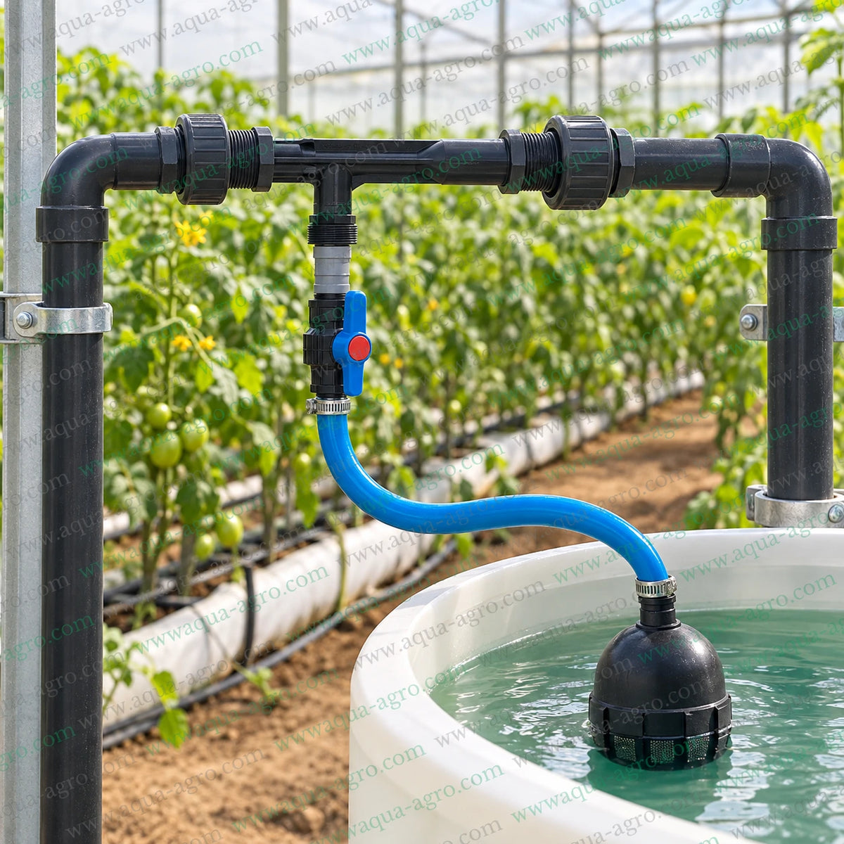 AQUA AGRO 25mm Venturi fertilizer injector installed on an irrigation pipeline inside a greenhouse with blue suction hose connected to a liquid fertilizer tank for automatic fertilizer injection nutrient dosing drip irrigation and greenhouse crop fertigation systems