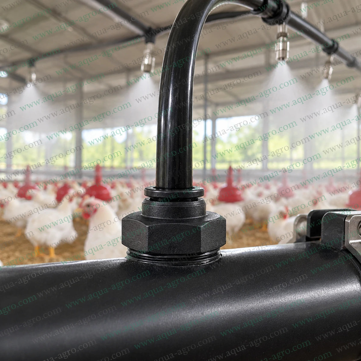 AQUA AGRO 8mm PU male port adaptor with half inch male threaded connection installed on a poultry farm fogging pipeline connecting black polyurethane tubing to a misting and cooling system