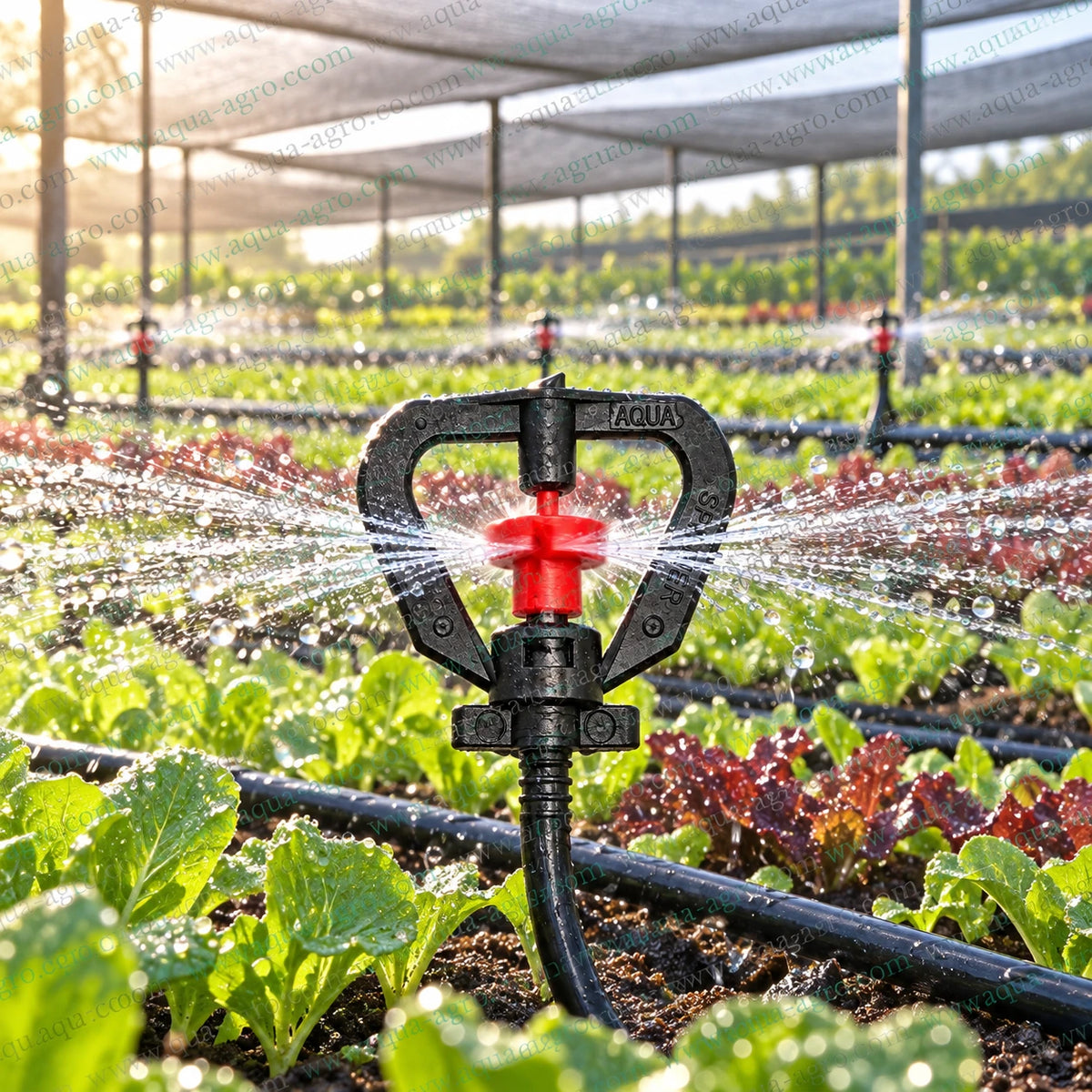 AQUA-AGRO full circle micro sprinkler spinner in operation with 360 degree uniform water spray 50 to 90 LPH flow rate for nursery greenhouse garden and crop irrigation