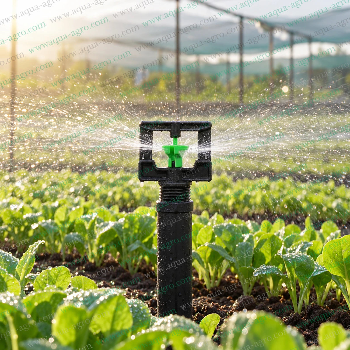 AQUA-AGRO Rocker full circle mini sprinkler spraying water over nursery crops for garden farm greenhouse and agricultural irrigation