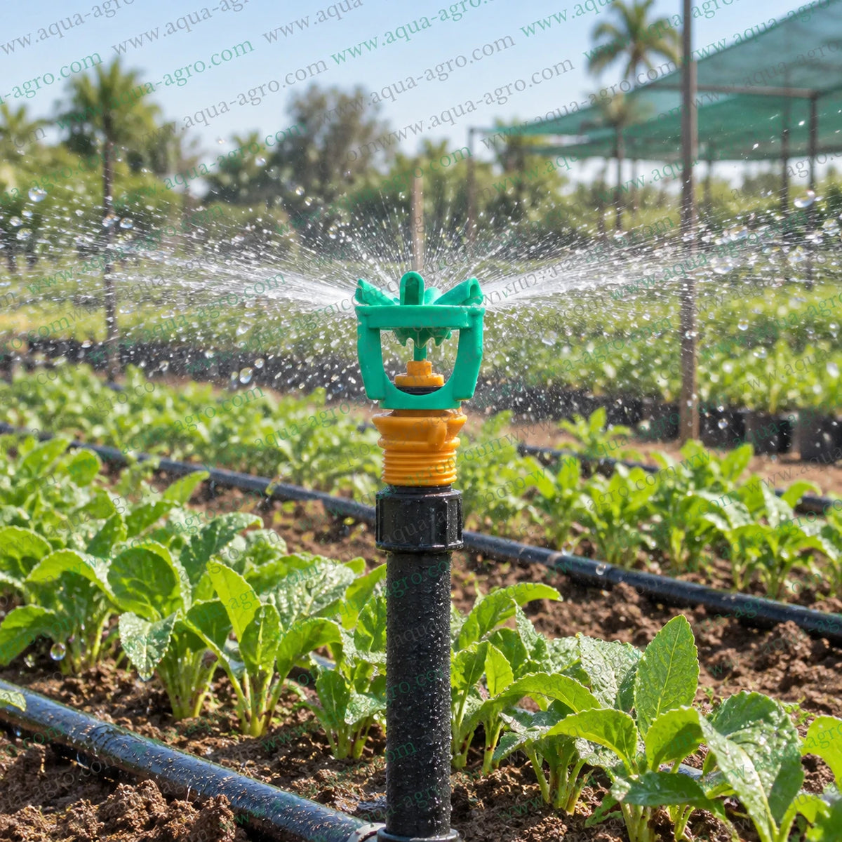 AQUA-AGRO mini sprinkler lite mini rocker full circle 360 degree swivel rotor with 8 to 12 feet spray radius 150 to 250 LPH discharge 0.5 inch 20mm male threaded inlet for agricultural garden nursery and crop irrigation