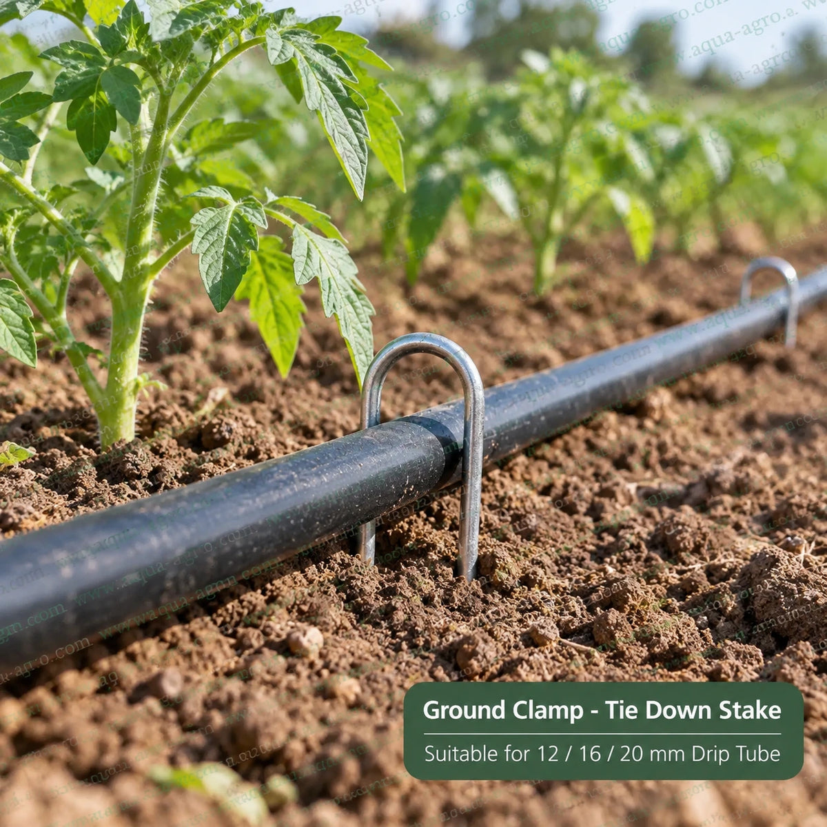 AQUA AGRO metal ground clamp tie down stake securing 12mm 16mm and 20mm drip tube in agricultural field irrigation system
