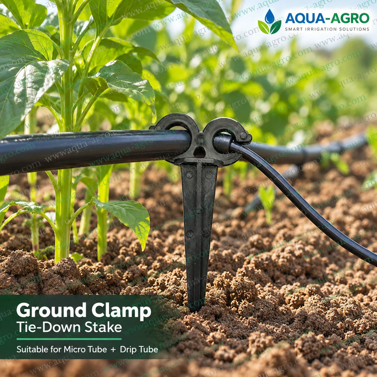 AQUA AGRO plastic ground clamp tie down stake installed in soil holding micro tube and drip tube securely for agricultural drip irrigation systems