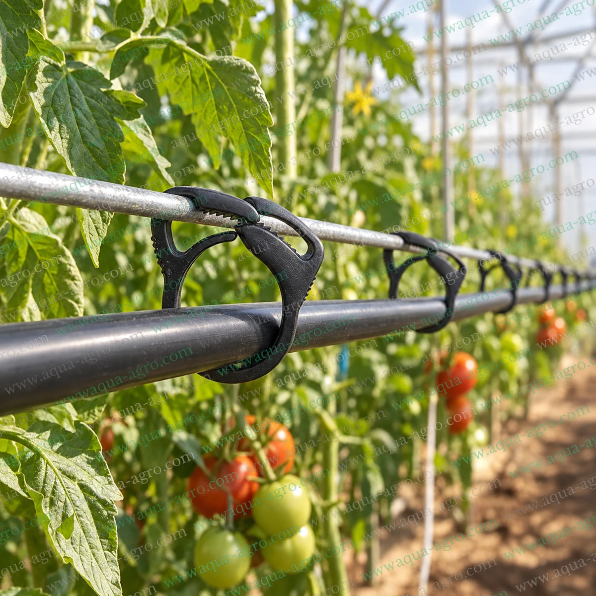 AQUA AGRO plastic suspender ratchet clamp securely supporting 16mm drip tube on support wire in greenhouse irrigation system